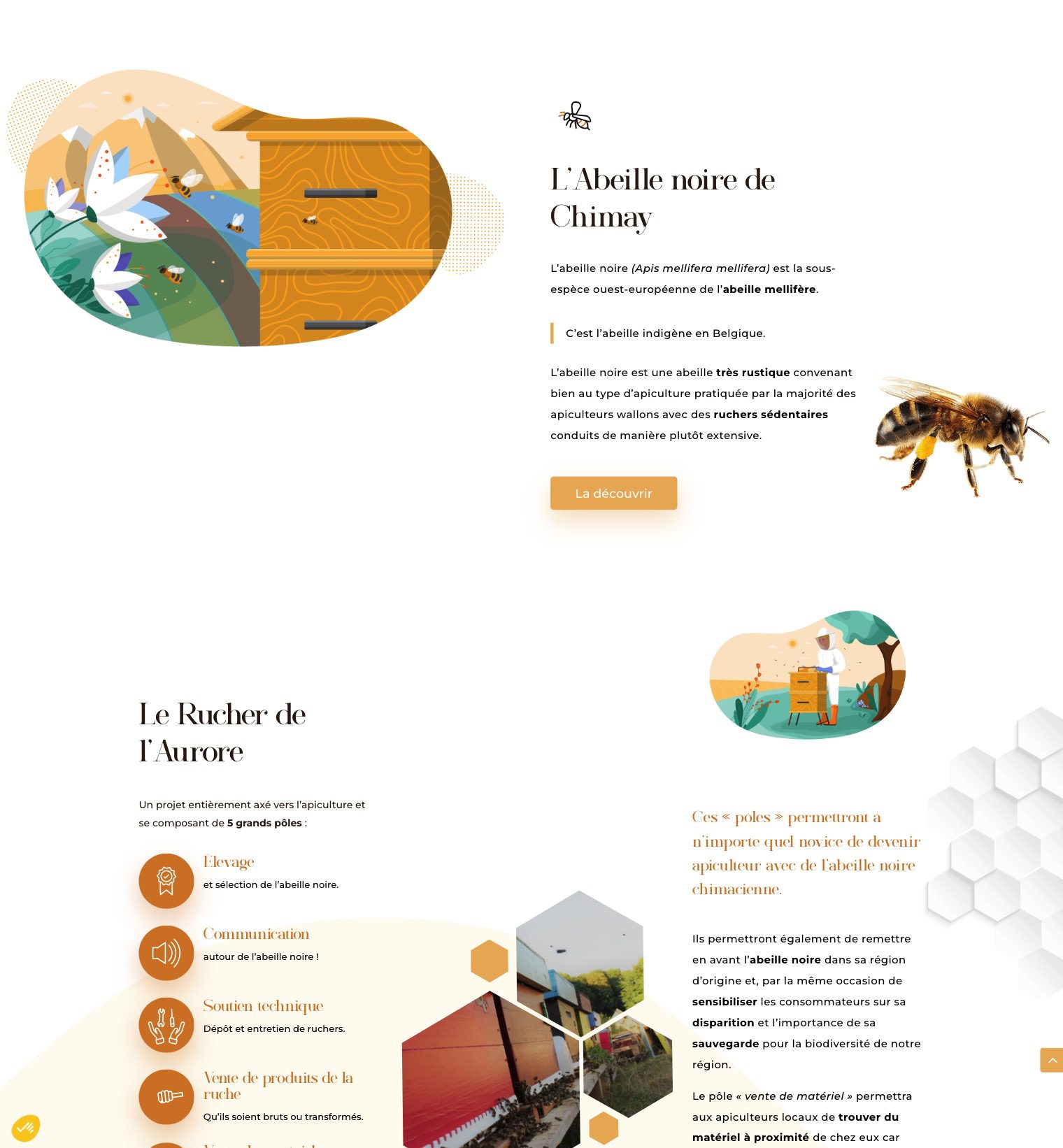 création-site-internet-alexis-lequeurre